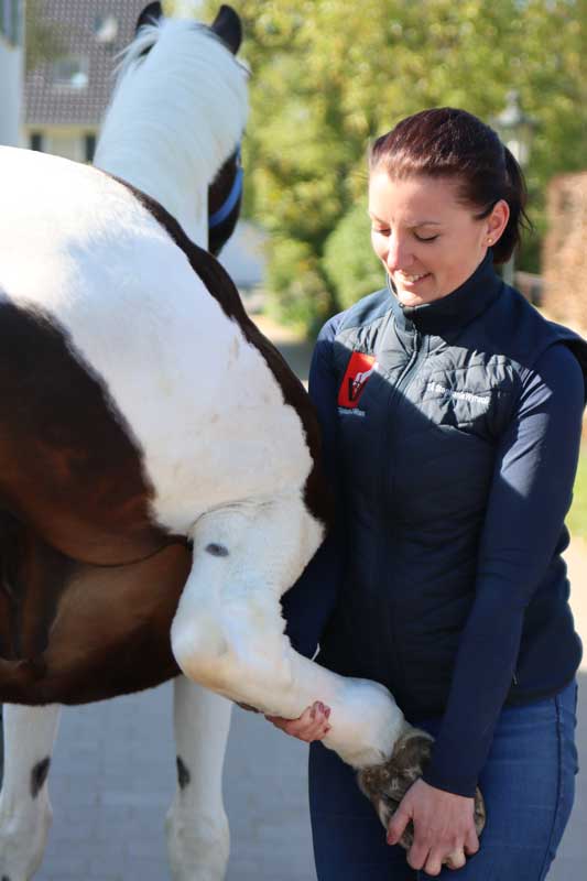 Beugeprobe am Hinterbein
